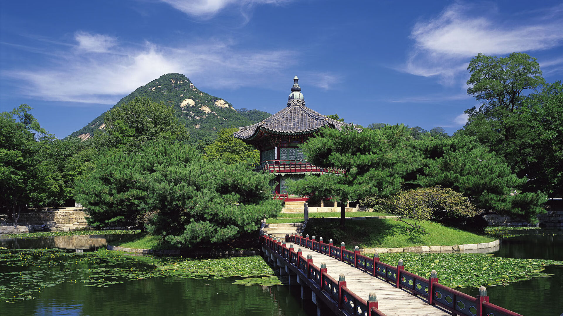 世界举重青年联赛优秀教练海外交流计划启动，世界举重锦标赛冠军